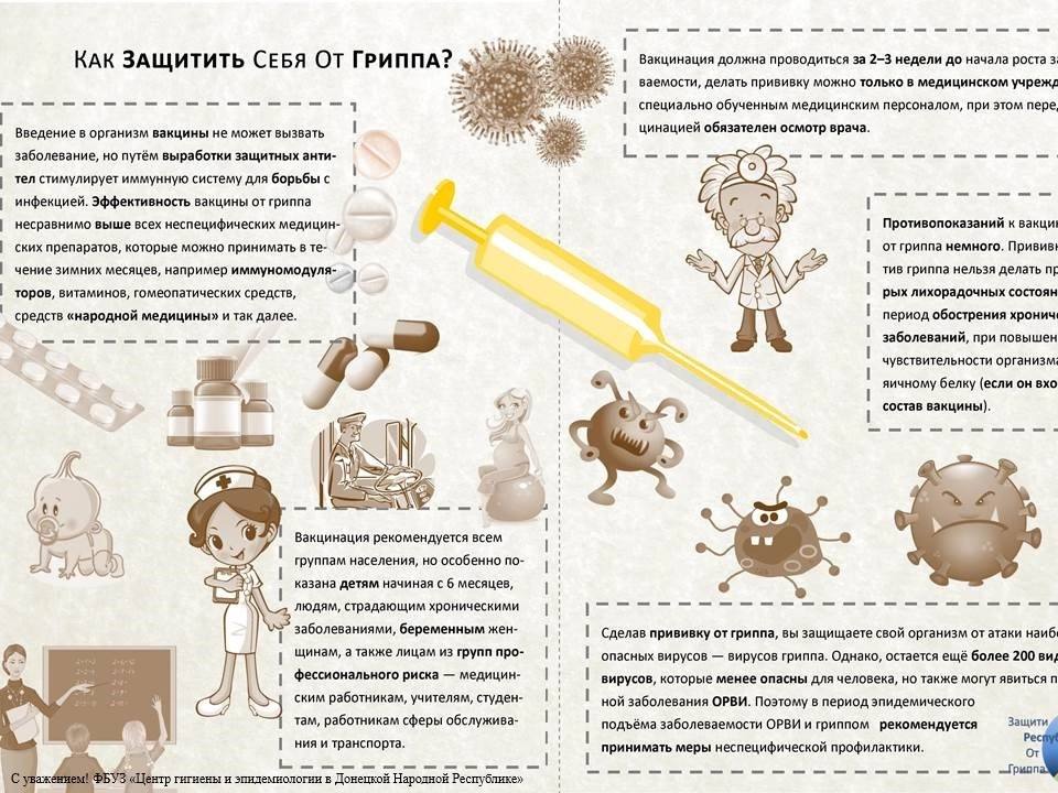 Вирусы.